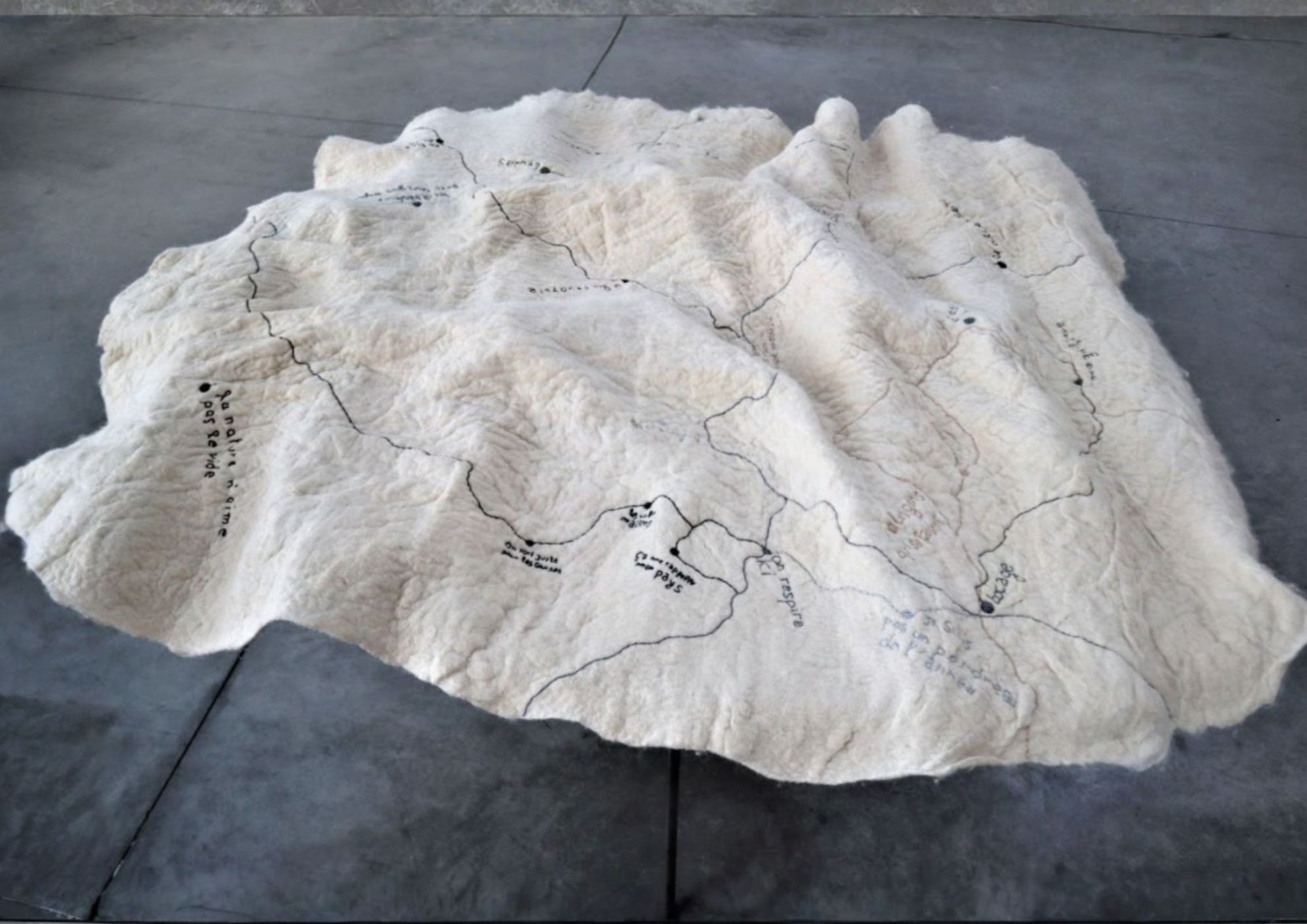 carte%20parl%C3%A9e%20du%20territoire%201